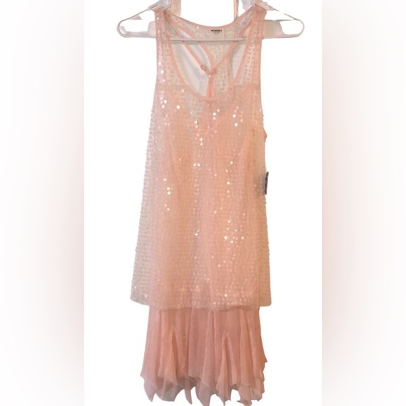 NWT Free People Intimately XS, Sheer Sequined, Slip Dress, Razorback Pink/Peach - Picture 3 of 10